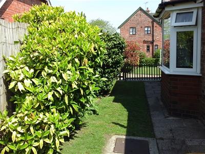 Picture 24